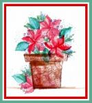 Poinsettia Pot Card